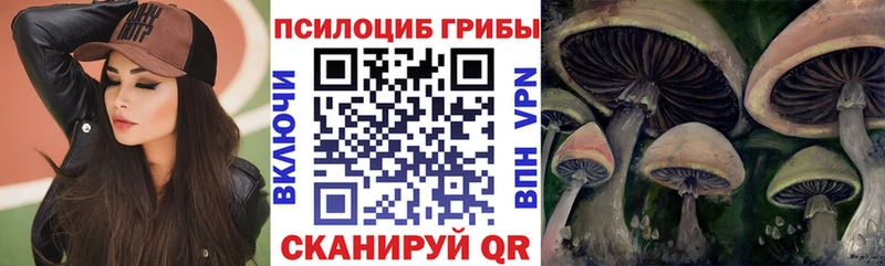 Псилоцибиновые грибы Psilocybe  где купить наркотик  Барнаул 