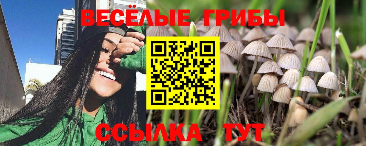 Галлюциногенные грибы прущие грибы Барнаул